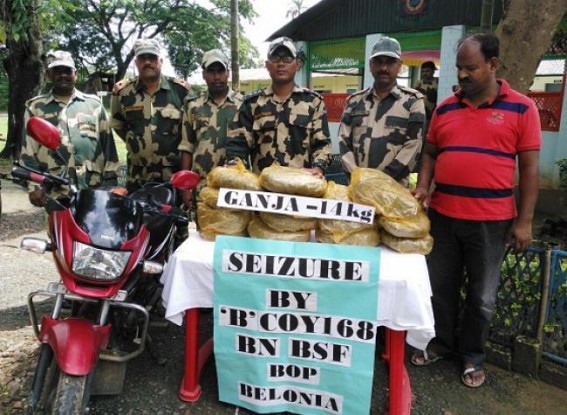  168Bn BSF seized 14kg of Ganja
